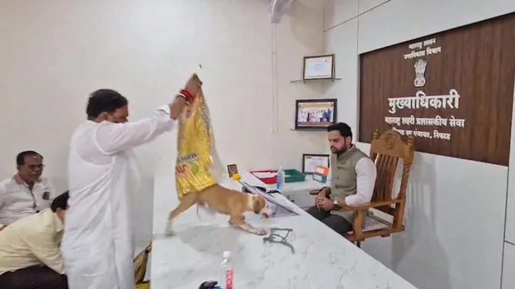 Protesters Release Stray Dogs inside Maharashtra Official's Office over Inaction 3 Protesters Release Stray Dogs inside Maharashtra Official's Office over Inaction