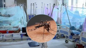 Six Dead as Bangladesh Records Highest Daily Dengue Hospital Admissions