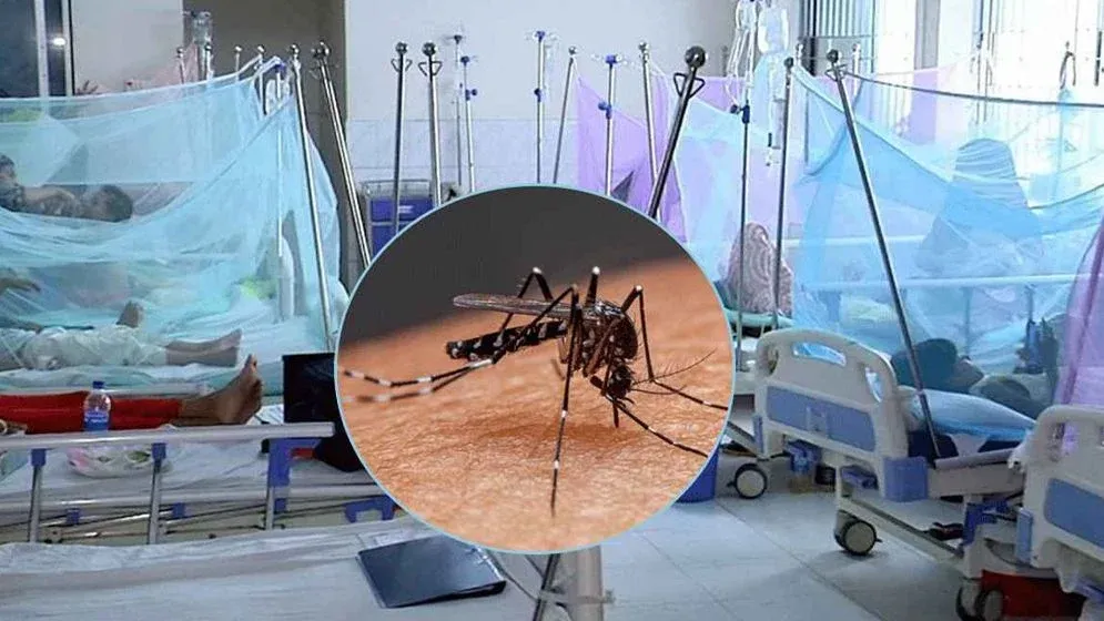 Six Dead as Bangladesh Records Highest Daily Dengue Hospital Admissions
