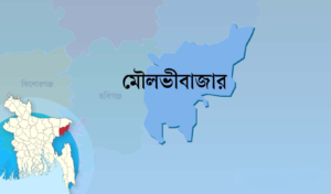 Three Killed In Fatal Bus-Auto Collision In Moulvibazar