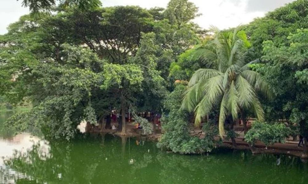 Unemployed Marketing Consultant Found Dead in Dhanmondi Lake