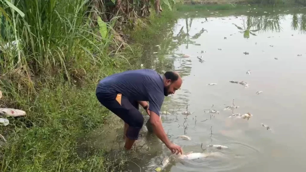 BNP Leader Arrested over Extortion and Fish Farm Vandalism