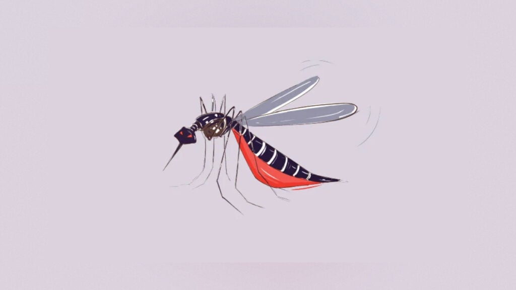 Bangladesh Dengue Death Toll Reaches 371 After Three More Fatalities 3 Bangladesh Dengue Death Toll Reaches 371 After Three More Fatalities