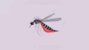 Bangladesh Dengue Death Toll Reaches 371 After Three More Fatalities