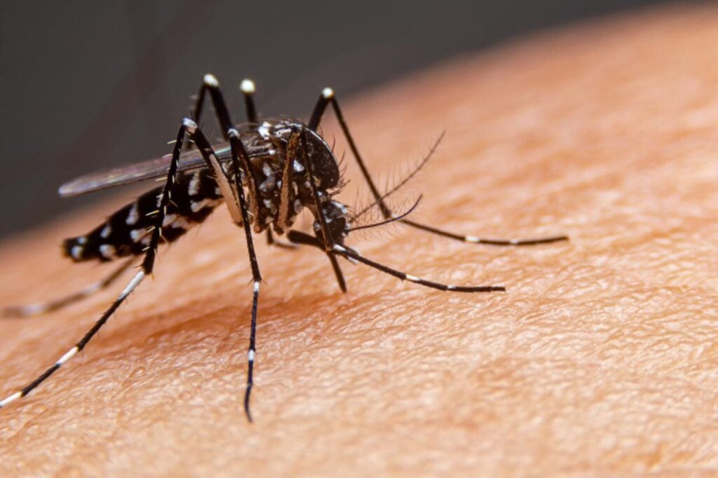 Bangladesh Dengue Surge Five More Dead as Hospitalisations Soar