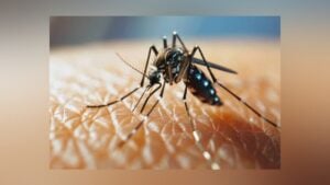 Bangladesh Reports Five More Dengue Deaths as Cases Exceed 121,000