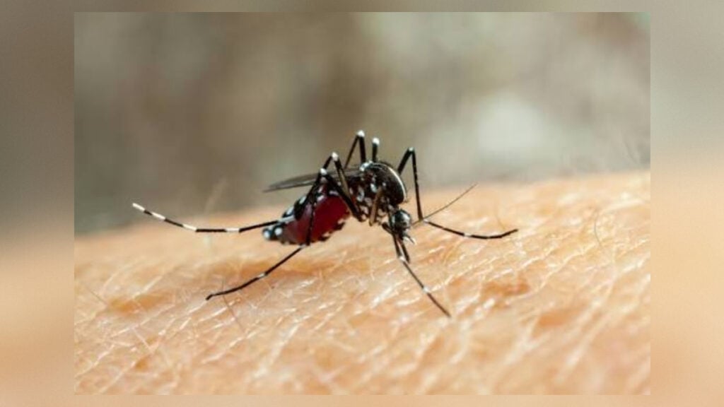 Bangladesh Reports Four More Dengue Deaths as 1,181 Patients Hospitalised