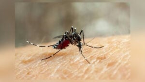 Bangladesh Reports Four More Dengue Deaths as 1,181 Patients Hospitalised