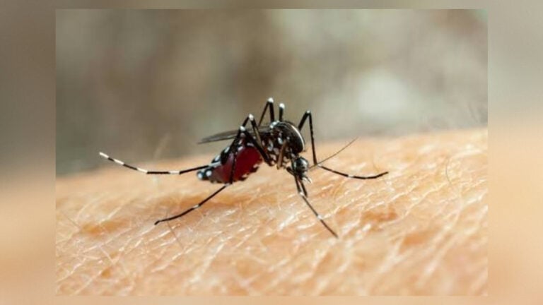 Bangladesh Reports Four More Dengue Deaths as 1,181 Patients Hospitalised