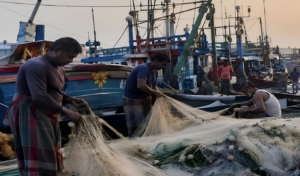 Barguna Fishermen Return to Sea as 22-Day Ban Lifts