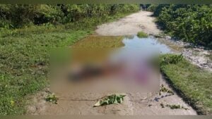Farmer Found Murdered After Night Watch Over Paddy Field