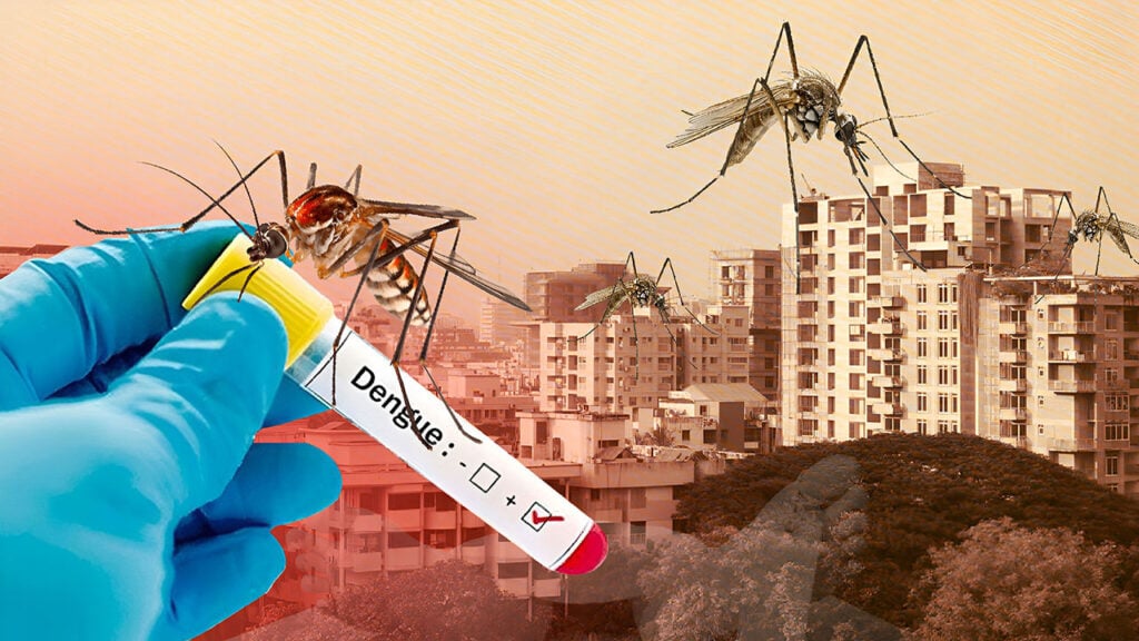 Four Deaths and 1,512 Hospitalised as Dengue Escalates