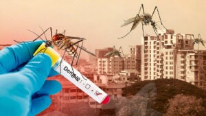 Four Deaths and 1,512 Hospitalised as Dengue Escalates