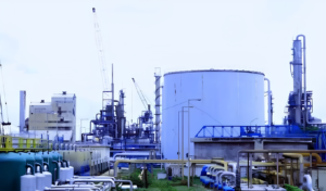 Gas Cut Halts Urea Production at Yamuna Fertiliser Factory