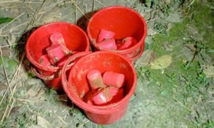Police Unearth 24 Crude Bombs Across Chapainawabganj District