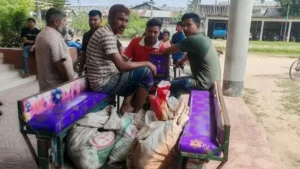 Stolen Cow Slaughtered for Wedding Feast in Gaibandha Triggers Police Arrest