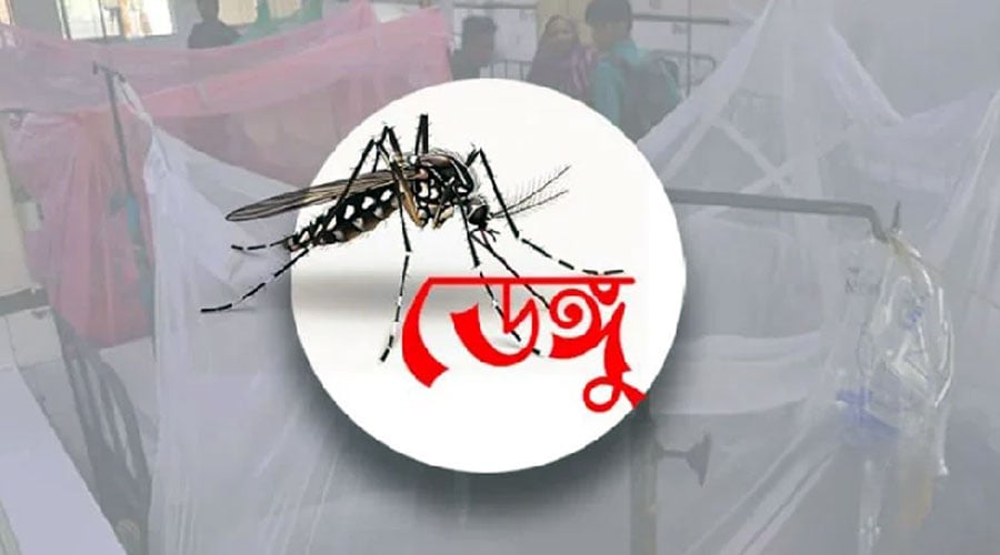 Tragedy as Dengue Claims Nine More Lives Across Bangladesh 3 Tragedy as Dengue Claims Nine More Lives Across Bangladesh