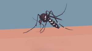 Tragedy in Mymensingh as Dengue Claims Another Life