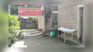 Woman Dies in Madhabdi; Husband Accused of Killing Her
