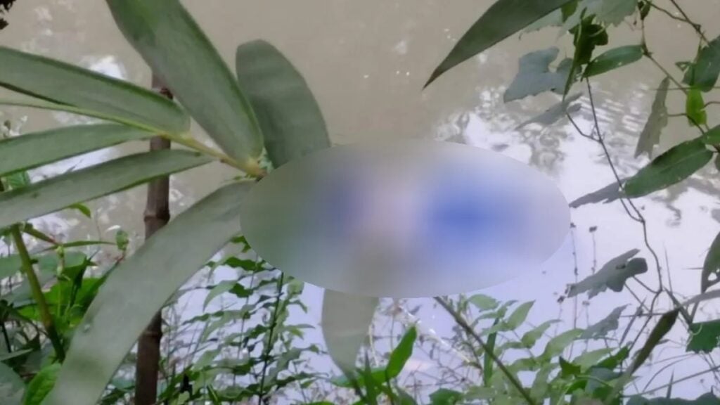 Woman Found Dead in Pond in Dhaka’s Dhamrai 2 Woman Found Dead in Pond in Dhaka’s Dhamrai