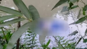 Woman Found Dead in Pond in Dhaka’s Dhamrai